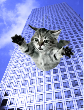 Cat skyscraper cheap